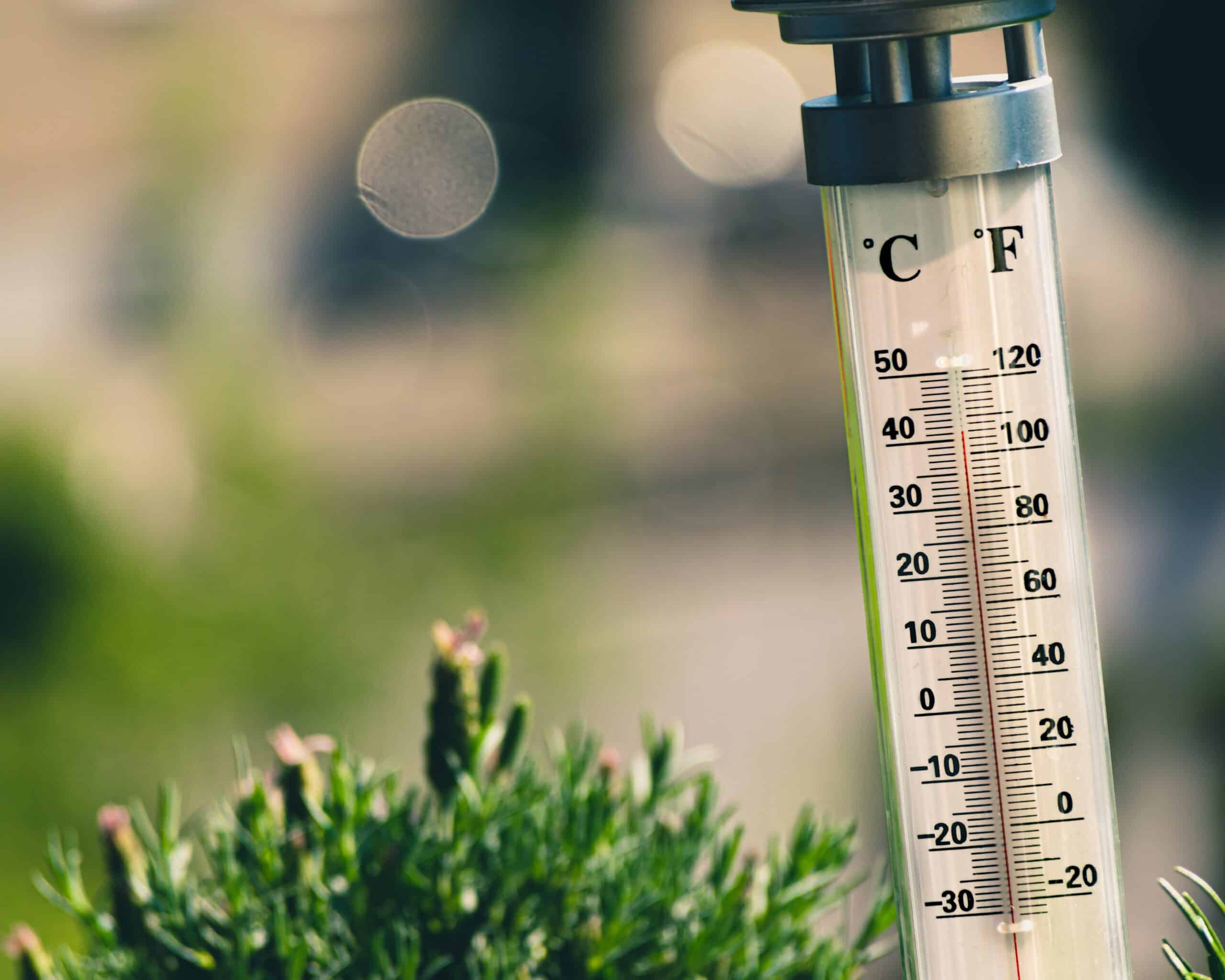 Thermometer near the grass
