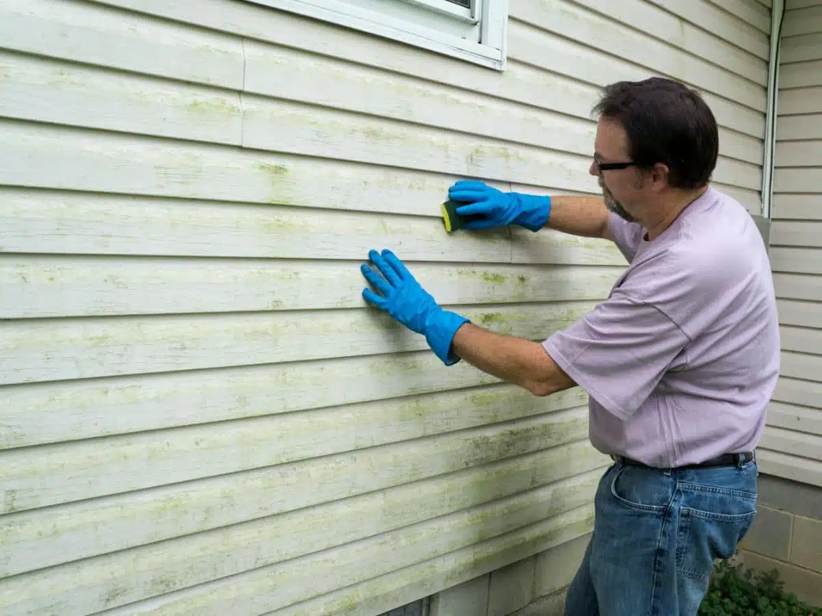 Emergency roof tarp