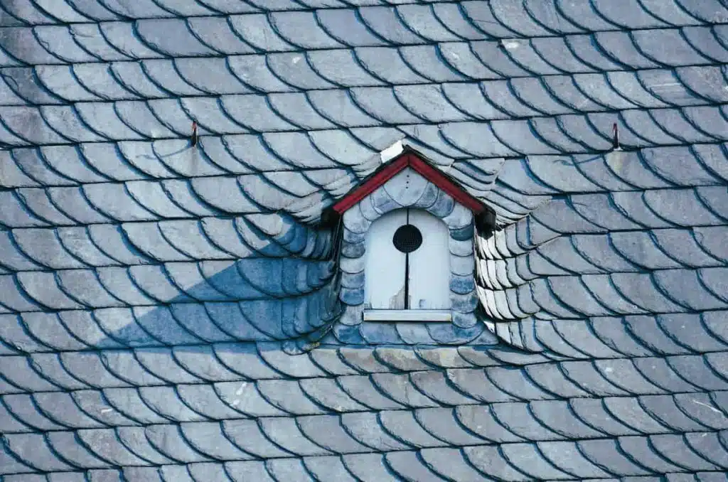 Birdhouse on House Rooftop