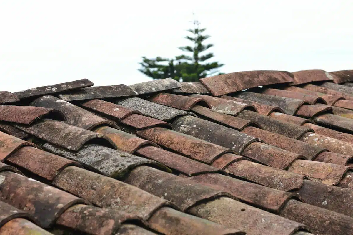 selective focus photo of brown roof shingles