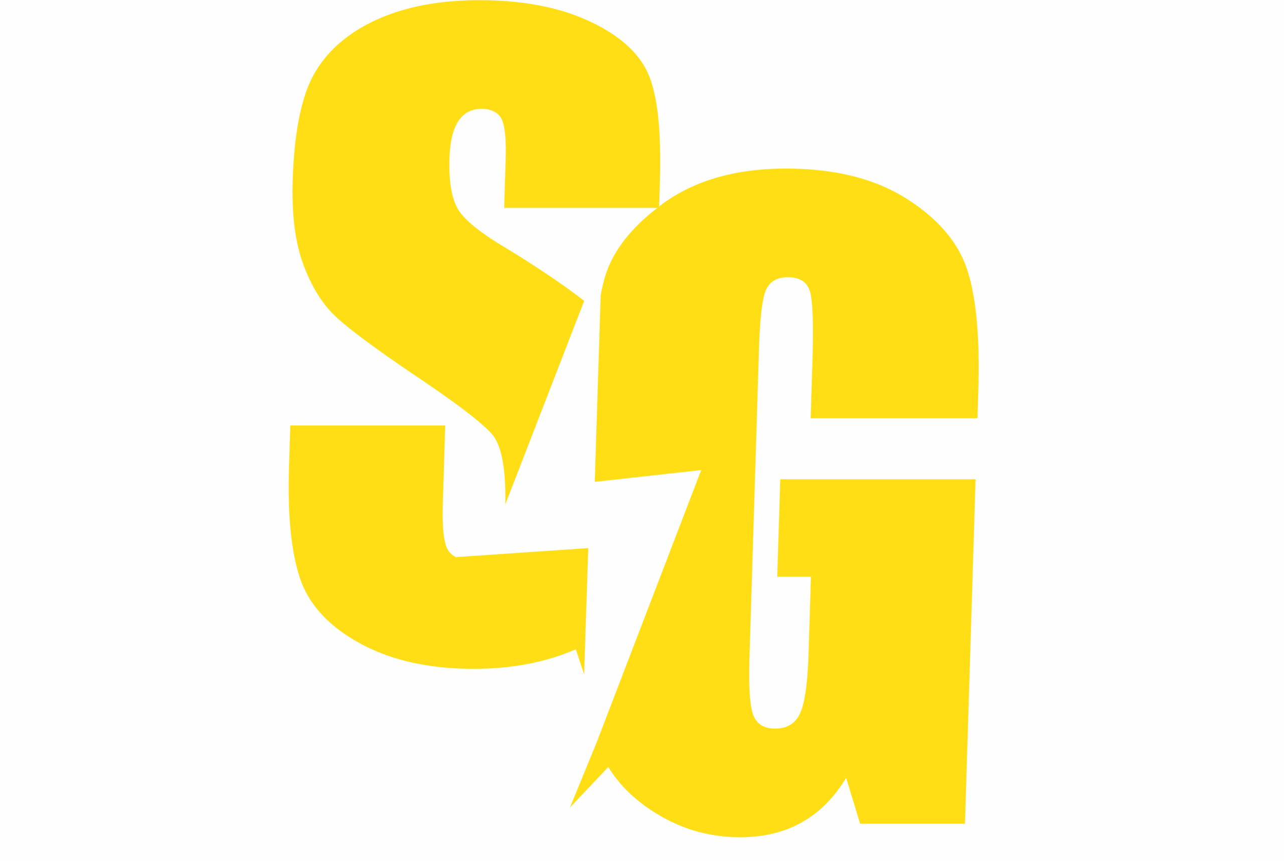 Storm Guard Footer Logo