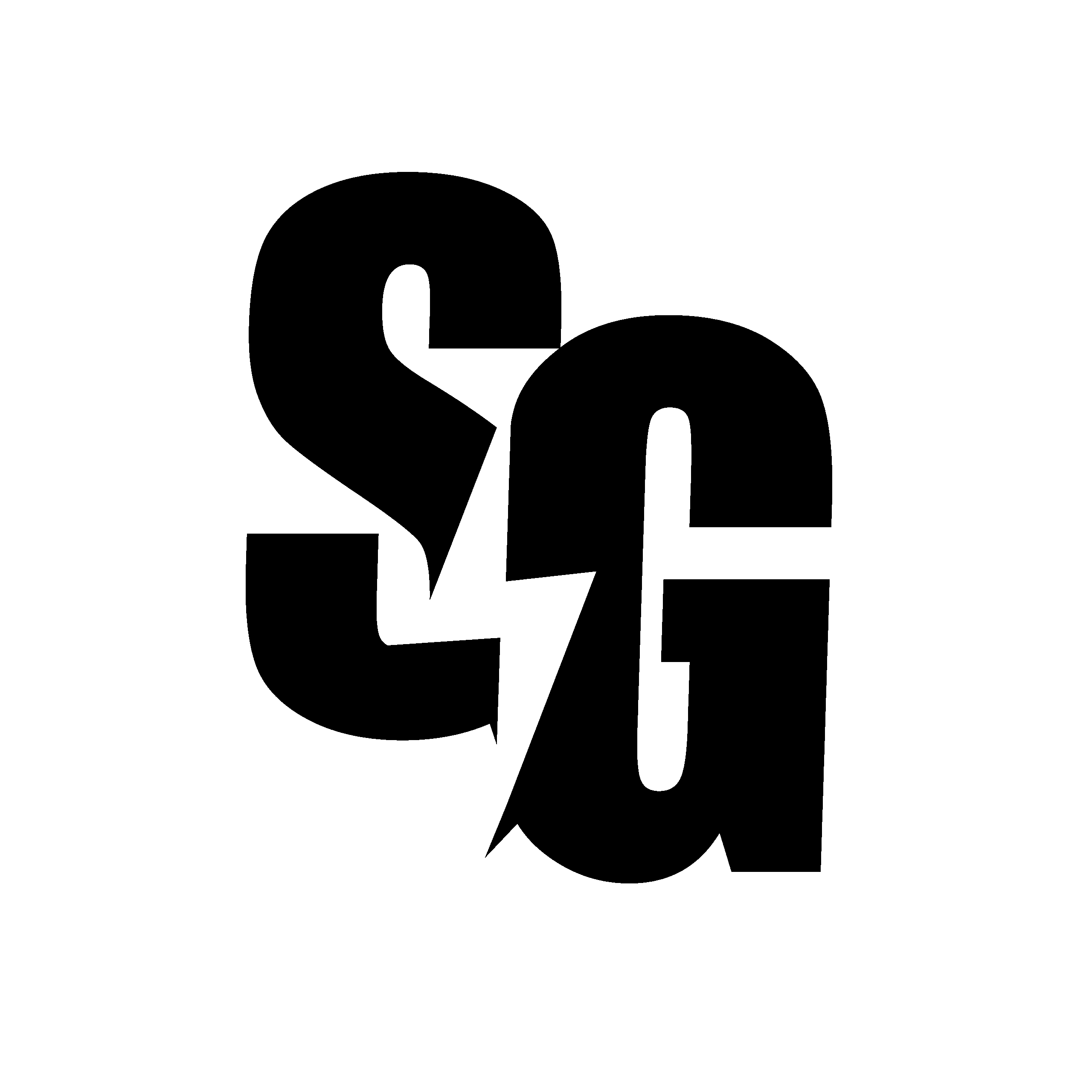 storm guard icon blk scaled